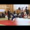 Wien/NÖ . „11. Wiener Februar Challenge“ in Judo