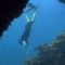 “7 Oceans” rettet die Meere