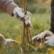 Neue Jugendinitiative für Biodiversität und Klimaschutz: Changemaker #nature – Youth Lead the Change