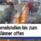 Über 570 Christbaumsammelstellen in Wien