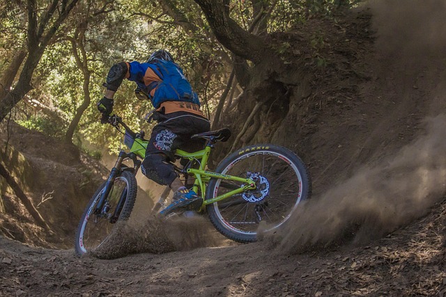 Mountainbike im Wienerwald oder Wexl-Trails