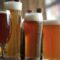 Klimawandel: Ist unser Bier in Gefahr?