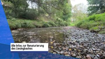 Alle Infos zur Renaturierung des Liesingbaches