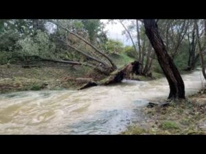 wien liesing
