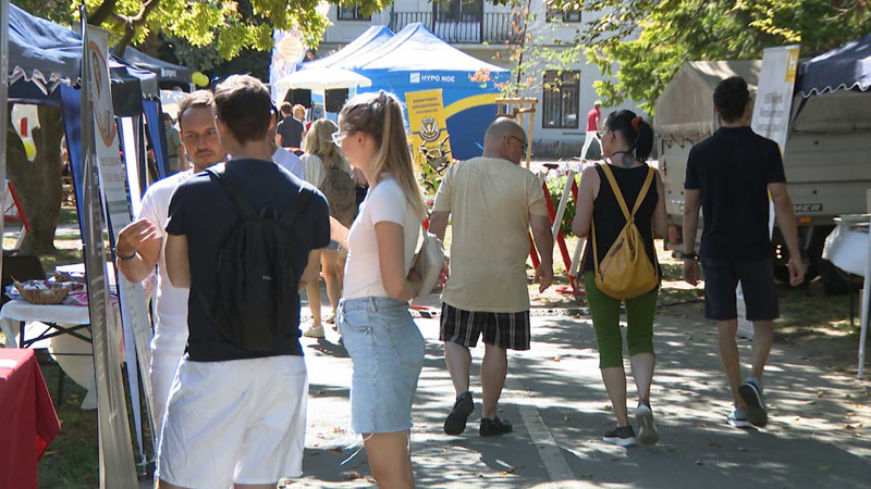 Gesundheitstag Mödling 2024