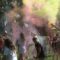 Laxenburg: Feriensommer voller Highlights