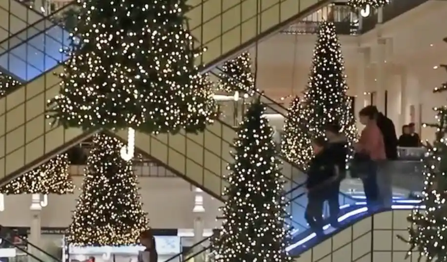 Christbaum Verkauf 2024