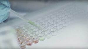 wissenschaft