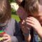 Aschbach-Markt: KLAR! – Projekt begeistert Kinder für Natur