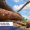 Holzindustrie leidete 2024 unter Wirtschaftssituation