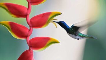 Kann ein Buch die Welt verändern?