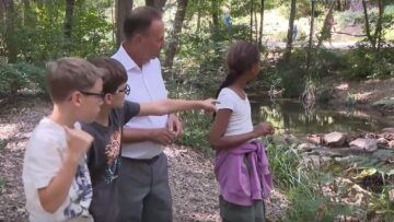 Renaturierung Liesingbach: Kids haben die Fakten