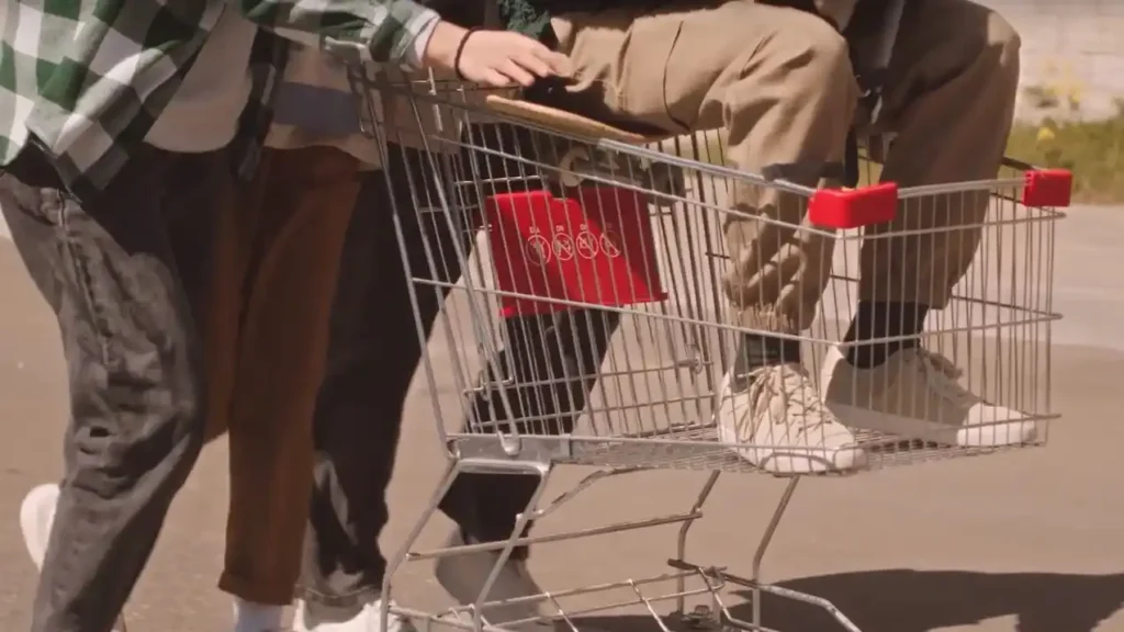 Herrenlose Einkaufswagen Wien