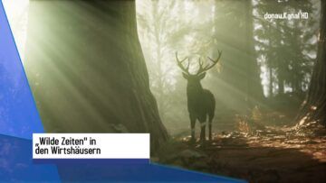 Regionales Wildfleisch in der Gastronomie immer beliebter