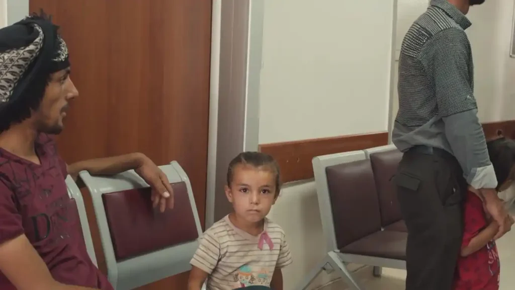 Einbürgerungen in NÖ