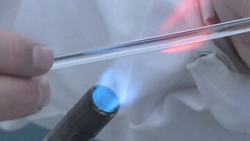 moedling_tag_experimente_25_1_kb2