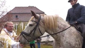 pferdewallfahrt_stleonhard_25_3_kb2