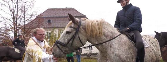 pferdewallfahrt_stleonhard_25_3_kb2