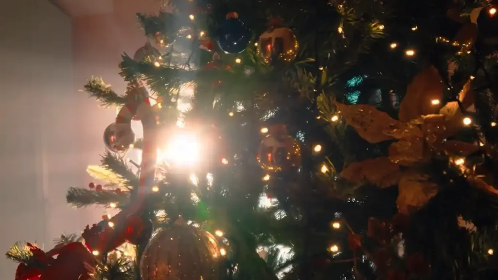 Christbäume aus der Region