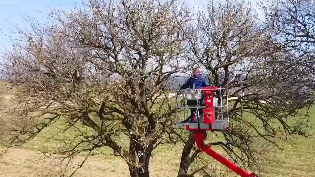 Streuobstpflege Mostviertel