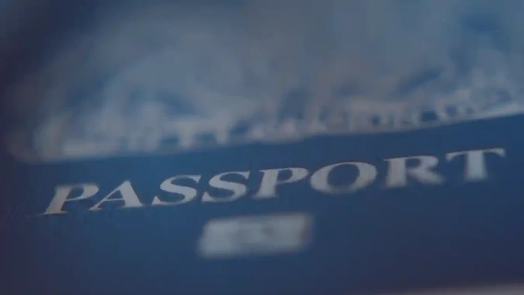 NÖ Einbürgerungen 2025