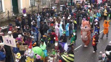 Kritischer Faschingsumzug Randegg 2026 begeistert