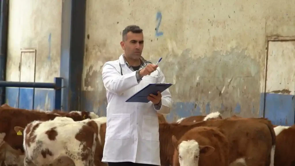 Tierärztemangel am Land