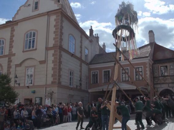 maibaumaufstellen_2026_1