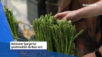 Spargelernte: Was das heimische Gemüse so wertvoll macht