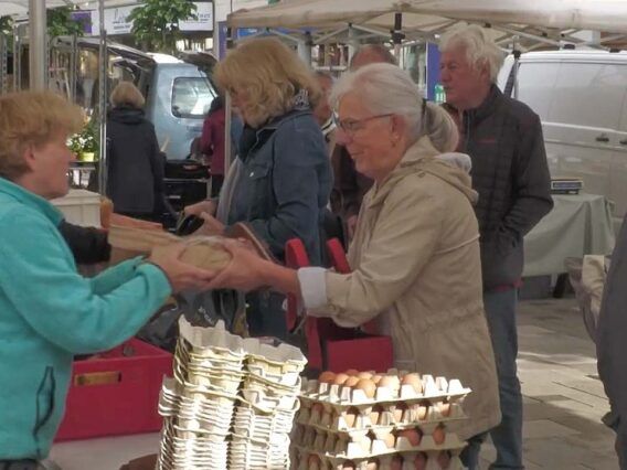 Regionale Märkte: Nah & vertraut, in Wien & NÖ