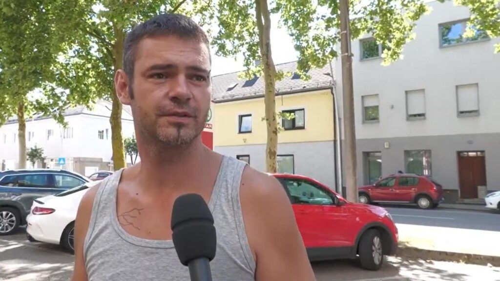 Mehrwertsteuer gesenkt Umfrage